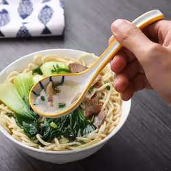 Soup Spoons Japanese Soup Spoon Long Handle Soup Spoons for Pho Ramen Noodles Wonton Dumpling Rice