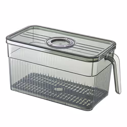 Refrigerator Storage Box Timekeeping Keep Food Organizer Box with Handle Transparent Material Green