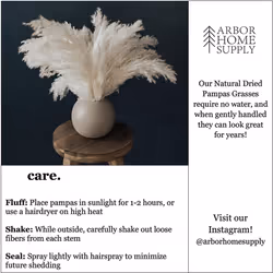 White Pampas Grass - 10 Pampas Stems of Fluffy Pampas Grass for Wedding, Home, and Event Decor - Dried Pampas Grass