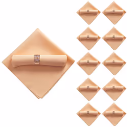 10Pcs 48X48cm Polyester Cloth Napkins for Restaurant Wedding , Champagne Color