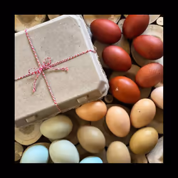 40Pcs Vintage Blank Egg Cartons- Classic 3X4 Style Holds 12 Eggs, Sturdy Design Made From Recycled Egg Box C