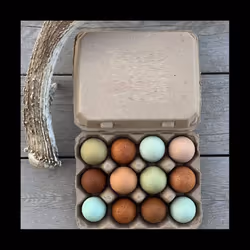 40Pcs Vintage Blank Egg Cartons- Classic 3X4 Style Holds 12 Eggs, Sturdy Design Made From Recycled Egg Box C