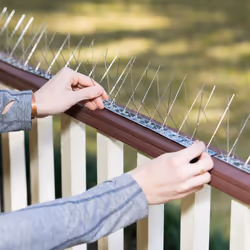 20pcs/box Bird Spikes Stainless Steel Bird Deterrent Spikes Cover for Fence Railing Walls Roof Yard