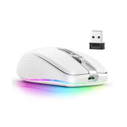 2.4G+BT5.1 Dual-mode Wireless Mouse Computer Gaming Mice Ergonomic Design 4-gear Adjustable DPI Built-in - A 3PCS