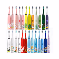 Electric Toothbrush Children Cartoon Kids With Replacement Head Ultrasonic  IPX7 Waterproof Rechargeable Sonic