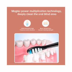 Tongwode Ultrasonic Electric Toothbrush Wireless Charging IPX7 Waterproof Replacement Heads Whitening Teeth Timer