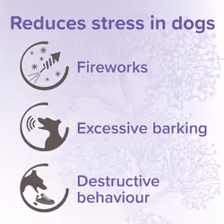 - Herbal Calming Spot-On for Dogs - Contains Natural Herb Valerian - Promotes Calming During Fireworks, Thunderstorms, Travel & Stressful Situations -