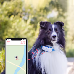 Tractive TRNJAWH GPS tracker/finder PET White
