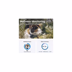 GPS Cat Tracker Mini | 24/7 Location & Territory | Escape Alerts | Unlimited Range (Blue) + Rogz Breakaway Collar
