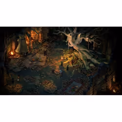 PLAION Pillars of Eternity 2 : Deadfire - Ultimate Edition