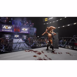 THQ Nordic AEW: Fight Forever - Additional view 6