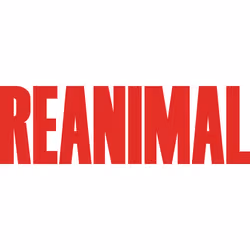 THQ Nordic Reanimal - Additional view 2