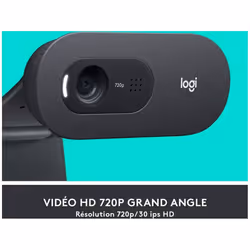 Logitech C505e HD Webcam - 720p HD USB Webcam for Desktop and Laptop, with Long Range Microphone, Compatible with PC, Mac or Chromebook(Grey)