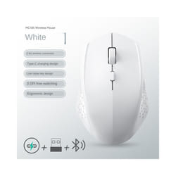 Rechargeable Bluetooth-compatible Wireless Mouse Optical Mice with USB RGB 1600DPI Mouse for Computer Laptop PC Mute Mouse - BT 2.4G White