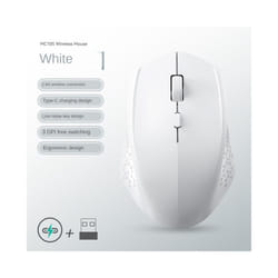 Rechargeable Bluetooth-compatible Wireless Mouse Optical Mice with USB RGB 1600DPI Mouse for Computer Laptop PC Mute Mouse - Only 2.4G White