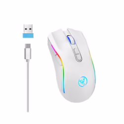 HXSJ T69 ergonomics Portable Cordless Rgb Wireless gaming Mouse Laptop Computer Wireless Mouse for game pc - T69-White