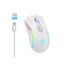 HXSJ T69 ergonomics Portable Cordless Rgb Wireless gaming Mouse Laptop Computer Wireless Mouse for game pc - T69-White