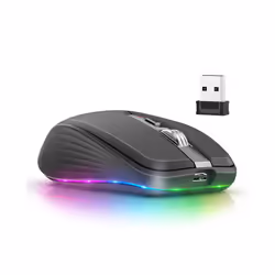 BT5.1 Dual-mode Wireless Mouse Computer Gaming Mice Ergonomic Design 2400 DPI Mute RGB Gaming Mouse for Laptop Computer - black