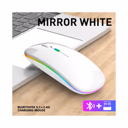 Femoro Bluetooth Wireless Mouse Portable Mobile Office Mouse Silent Ergonomic Mouse with Backlight for Laptop PC iPad Mac - L ...
