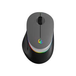 Bluetooth Wireless Mouse LED Gaming Mouse Silent Mouse Rechargeable Mouse 800-1200-1600 DPI Mouse Mic for PC Laptop Macbook - Wireless LED Grey