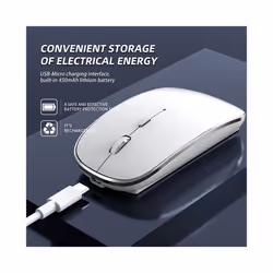 Wireless Mouse for Laptop, 2.4 GHz Cordless Mouse with USB/USB-C Dual Receiver for Computer, Rechargeable Portable Mouse - si ...