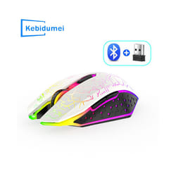 RGB Wireless Mouse Bluetooth Computer Mouse 1600DPI 6 Mute Buttons Ergonomic Rechargeable Mouse For MacBook Tablet Laptops - 2.4G BT White
