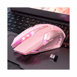 Gaming Mute Mouse Cute RGB Gamer 6 Buttons Mice Optical Office Computer Mouse For Desktop Laptop Ergonomic Game Mouse - s6 Wireless mouse
