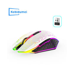 RGB Wireless Mouse Bluetooth Computer Mouse 1600DPI 6 Mute Buttons Ergonomic Rechargeable Mouse For MacBook Tablet Laptops - 2.4G White