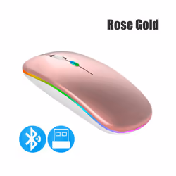 Wireless Mouse Bluetooth compatible 2.4GHz 1600DPI USB Rechargeable RGB Light Portable Mouse For Laptop Computer PC Macbook Game - 2.4G BT Silver