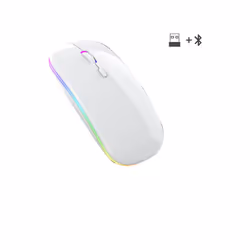 Wireless Mouse RGB Rechargeable Bluetooth Mice Wireless Computer Mause LED Backlit Ergonomic Gaming Mouse for Laptop PC - whi ...