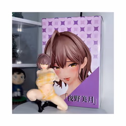 Japanese Anime Figure Sexy Nikukan Girl Kono Mizuki PVC Action Figure Insight Figurine Collection Model - 11cm in box