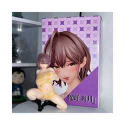 Japanese Anime Figure Sexy Nikukan Girl Kono Mizuki PVC Action Figure Insight Figurine Collection Model - 11cm in box