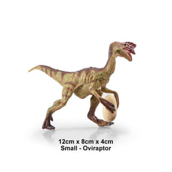 Simulation Jurassic Dinosaur Action Figures Dino Park Carnotaurus Ankylosaurus Tyrannosaurus Rex Model - Oviraptor