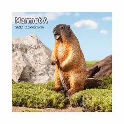 Wild Animals Simulation Rodent Marmot Capybara Model Action Figure Figurine Collection Cute Kid Toy - Marmot A
