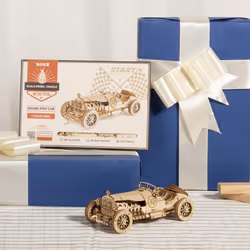 Car Model kits For Adults to Build,3D Wooden Puzzle Scale Model Vehicle,Grand Prix Car Home Decoration Gift For Teens and Adults