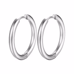 1 Pair Hoop Earrings Stainless Steel Geometric Elegant Polished Color Metal Circle Earrings - silver, 18mm
