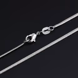 Fashion Silver Color Flat Snake Chain 2mm Width Necklace Jewelry Gifs - silver, 50cm