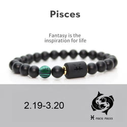 Men Women 12 Constellation Bracelet Elastic Bracelet Hand Woven Adjustable Natural Tiger Eye Obsidian Bracelet Party Gift Jewelry - pisces