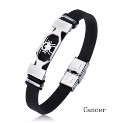 Charm Jewelry 12 Constellations Stainless Steel Leather Cuff Bracelet Men - pisces