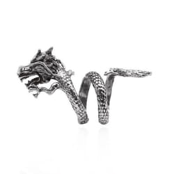 Dragon Ring Male Open Personality Single Trendy Male Index Finger Ring Female Trendy Students Retro Style Dragon Ring - silver