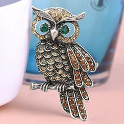 Vintage Owl Brooch Corsage Scarf Clip Antique Gold Plated Crystal Parrot Brooches - Ivory