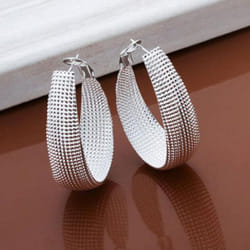 1 Pair Women&apos;s Fashion Korean Style Enclosure Hoop Earrings Jewelry