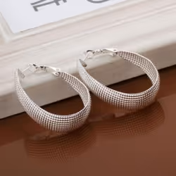 1 Pair Women&apos;s Fashion Korean Style Enclosure Hoop Earrings Jewelry