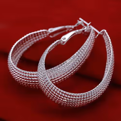 1 Pair Women&apos;s Fashion Korean Style Enclosure Hoop Earrings Jewelry