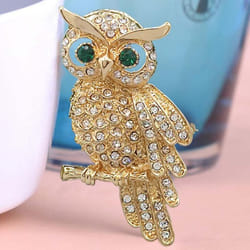 Vintage Owl Brooch Corsage Scarf Clip Antique Gold Plated Crystal Parrot Brooches - Beige