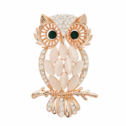 Big Owl Brooches Bouquet Vintage Wedding Hijab Scarf Pin Up Buckle Broches