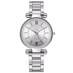 Casual Ladies Quartz Stainless Steel Band Strap Watch Analog Wrist Watch - silver