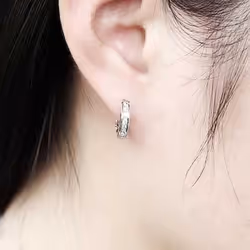 Women&apos;s Rhinestone Platinum Plated Ear Studs Hoop Earrings Jewelry