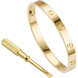 Love Series Bracelet Bangle Screw Design Hinge Stainless Steel Jewelry - gold, One Size