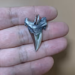Real Silver Vintage Shark Tooth Necklace Pendant Man S925 Sterling Silver  Chain Pendant Jewelry Gift